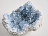 Blue Celestite Geode Large