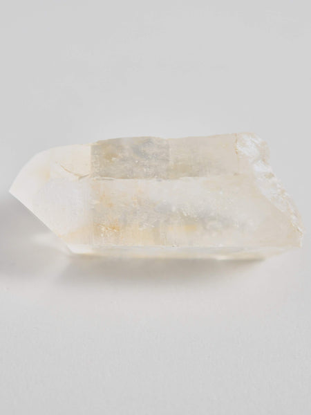 Golden Lemurian Healer